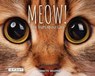 Meow! the Truth about Cats - Annette Whipple - 9781478879565