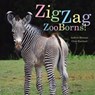 ZigZag ZooBorns! - Andrew Bleiman ; Chris Eastland - 9781481431064