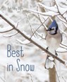 Best in Snow - April Pulley Sayre - 9781481459174