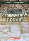 What Are Sedimentary Rocks? - NAGLE,  Frances - 9781482462418