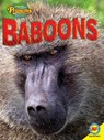 Baboons - ROUMANIS,  Alexis - 9781489628671