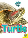 Turtle - HAMILTON,  Lynn - 9781489629746