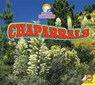 Chaparrals - NUGENT,  Samantha - 9781489641700