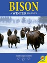 Bison - HIRSCH,  Rebecca - 9781489649898