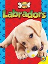 Labradors - Susan H. Gray - 9781489656124