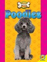 POODLES - Faith Woodland - 9781489673626