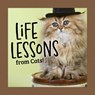 Life Lessons from Cats - Grace Peterson - 9781497105591