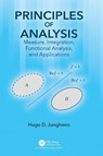 Principles of Analysis - Hugo D. Junghenn - 9781498773287