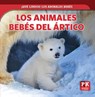 Los Animales Bebés del Ártico (Baby Arctic Animals) - Rachael Morlock - 9781499448726