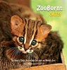ZooBorns Cats! - Andrew Bleiman ; Chris Eastland - 9781501131042