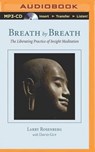 Breath by Breath - ROSENBERG,  Larry ; Guy, David - 9781501221378