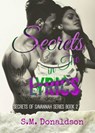 Secrets in The Lyrics - SM Donaldson - 9781501437953