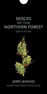 Sedges of the Northern Forest: Quick Guide - Jerry Jenkins - 9781501727092
