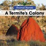 A Termite's Colony - Arthur Best - 9781502636768