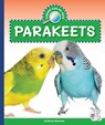 Parakeets - Kathryn Stevens - 9781503888715