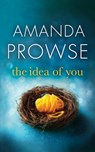 The Idea of You - Amanda Prowse - 9781503942332