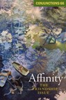 Affinity - Bradford Morrow - 9781504042222