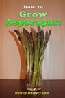 How to Grow Asparagus - How to Mastery - 9781506185989