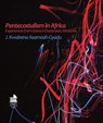 Pentecostalism in Africa: Experiences from Ghana's Charismatic Ministries - ASAMOAH-GYADU,  J. Kwabena - 9781506483733