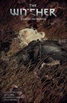 The Witcher Volume 5: Fading Memories - Bartosz Sztybor - 9781506716589