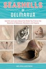 Seashells of Delmarva - Melissa Avstreih - 9781507306710