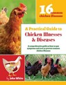 A Practical Guide to Chicken Illnesses & Diseases - John White - 9781508675006