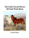 Little Sacred Horses of Sand Wash Basin - John A. Wagner - 9781508901419