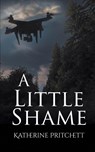 A Little Shame - Katherine Pritchett - 9781509265510