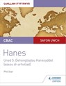 CBAC Safon Uwch Hanes – Canllaw i Fyfyrwyr Uned 5: Dehongliadau Hanesyddol (asesu di-arholiad) WJEC A-level History Student Guide Unit 5: Historical Interpretations (non-examined assessment; Welsh lan - Phil Star - 9781510482098
