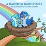 A Rainbow Baby Story: The Rainbow After the Storm - Kim S. Roman - 9781511695497
