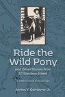Ride the Wild Pony... and other stories from 57 Steuben Street: A Children's Book for Grown-Ups - James Vincent Gambone - 9781515082170