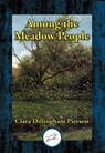 Among the Meadow People - Clara Dillingham Pierson - 9781515412304