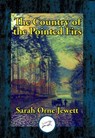 The Country of the Pointed Firs - Sarah Orne Jewett - 9781515416289