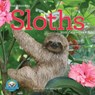 Original Sloths Wall Calendar 2025 -  - 9781523524822