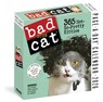 Bad Cat Page-A-Day® Calendar 2026 -  - 9781523530601