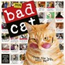 Bad Cat Wall Calendar 2026 -  - 9781523531219