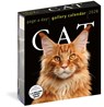 Cat Page-A-Day® Gallery Calendar 2026 -  - 9781523531295