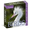 Audubon Birds Page-A-Day® Calendar 2027 -  - 9781523533350