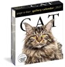 Cat Page-A-Day® Gallery Calendar 2027 -  - 9781523534333