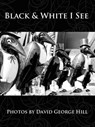 Black & White I See - David Hill - 9781524267179