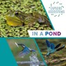Explore Ecosystems: In a Pond - Sarah Ridley - 9781526322456