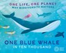 One Life, One Planet: One Blue Whale in Ten Thousand - Sarah Ridley - 9781526323071