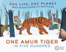 One Life, One Planet: One Amur Tiger in Five Hundred - Sarah Ridley - 9781526323088