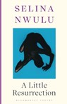 A Little Resurrection - Selina Nwulu - 9781526649980