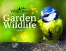 Villager Jim's Garden Wildlife - Villager Jim - 9781526706713