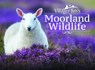 Villager Jim's Moorland Wildlife - Villager Jim - 9781526706751