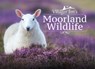 Villager Jim's Moorland Wildlife - Villager Jim - 9781526706775