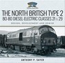 The North British Type 2 Bo-Bo Diesel-Electric Classes 21 & 29 - Anthony P. Sayer - 9781526742780