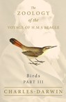 Birds - Part III - The Zoology of the Voyage of H.M.S Beagle; Under the Command of Captain Fitzroy - During the Years 1832 to 1836 - Charles Darwin ; John Gould - 9781528712101