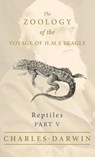 Reptiles - Part V - The Zoology of the Voyage of H.M.S Beagle - Charles Darwin ; Thomas Bell - 9781528771887